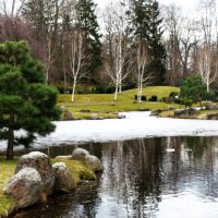 Конец марта в Японском саду Кадриорга :: Aida10 