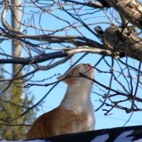 Весна !!! :: Всеволод 