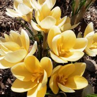 Весна в парке Зарядье :: Лидия Бусурина