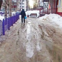 Март...Гололед и лужа -подарок пешеходу! :: Владимир 