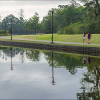 Утро :: **** vedin