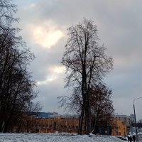 Зима. :: Владимир Драгунский