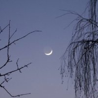 Месяц :: Наталия