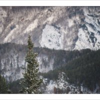 * :: Александр Иванов