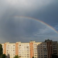 лето :: Елена Шаламова