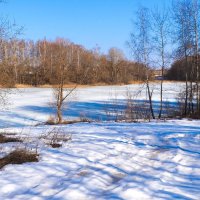 Весна в конце марта. :: Милешкин Владимир Алексеевич 