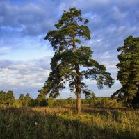 На закате дня :: Владимир Гришин