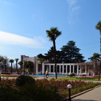 Ботанический сад.Ялта :: Ольга Рывина