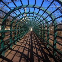 *** :: Сергей Григорьев