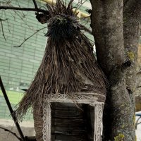 Квартирный кризис... :: Александр Кондаков Квартирный кризис... :: Александр Кондаков