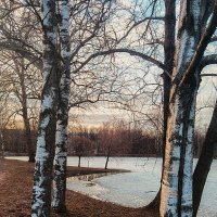 Весенние зарисовки в парке Победы. :: Лилия *