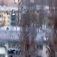 Дождь, дождь... :: Валентина  Нефёдова 