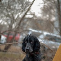 Джек :: Вячеслав Дроздов