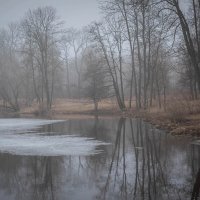 **** :: Елизавета .