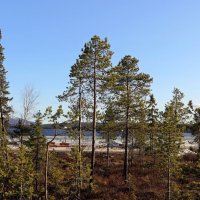 Однако, весна... :: Ольга 