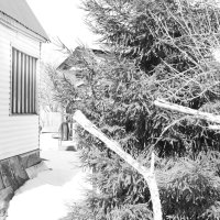 Мечты о ч/б Лейке 81. :: Михаил Елочкин Мечты о ч/б Лейке 81. :: Михаил Елочкин