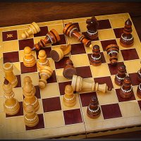 "ЛОШАДЬЮ НАДО БЫЛО ХОДИТЬ..." :: Александр Дмитриев