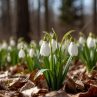 Вот она, весна, пришла!... :: Ravile 