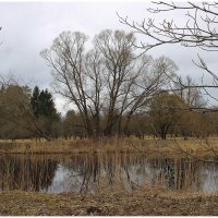 *** :: Aleksandr Gal