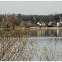 *** :: Aleksandr Gal