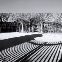 *** :: Сергей Григорьев