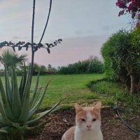 На своей территории :: Ирэн На своей территории :: Ирэн