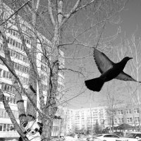 Доброе утро :: Сергей Матвеенко