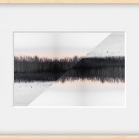 Лес :: Илья Шенгелия