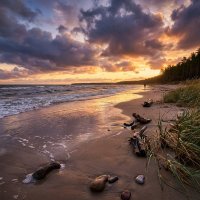 Пляж на закате :: Лилия 