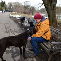Человек и собака. :: Наталья Вязигина