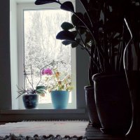 зима за окошком :: Любовь 