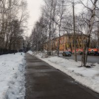 В ожидании весны :: Виктор Иванович Чернюк