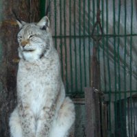 Скучно то как :: Savayr 