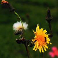 /// :: Виктор Никитенко