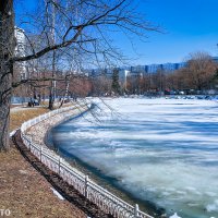 ПАРК В КОНЦЕ МАРТА. :: Александр Дмитриев