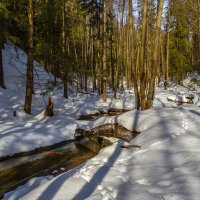 На родник за водой :: Сергей Цветков