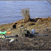 Рыбнадзор пришел... :: Aleksandr Gal Рыбнадзор пришел... :: Aleksandr Gal