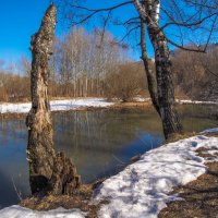 Весенние :: юрий поляков