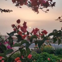 Египет. Шарм-эль-Шейх :: Ирэн 