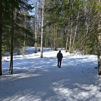 Пешеход. :: ВикТор Быстров