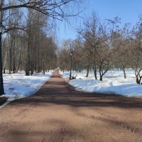 Пустынная аллея :: Игорь Ч. Пустынная аллея :: Игорь Ч.