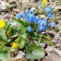 Март :: Наталья (ShadeNataly) Мельник