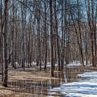 Просто посмотри ... :: Kirill 