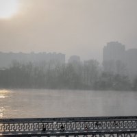 Туманное утро :: Игорь Протасов