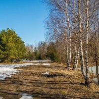 На исходе марта 2 :: Андрей Дворников