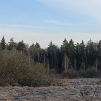 Медведь-гора Подмосковного разлива. :: Ирина Кустова Медведь-гора Подмосковного разлива. :: Ирина Кустова