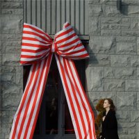 Ослепительная :: sv.kaschuk 