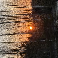 На рассвете :: Ольга Савельева 