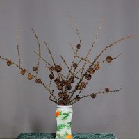 ... :: Владимир иванов