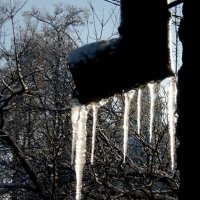 Фотозарисовки :: Роман Савоцкий